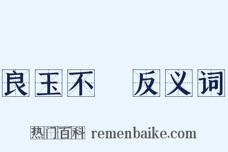 良玉不瑑反义词是什么意思的图片